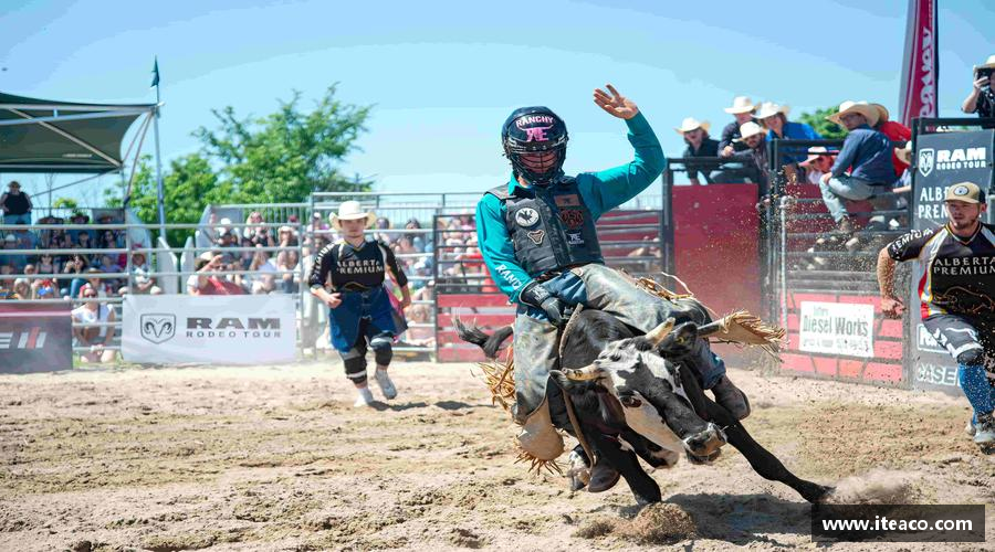 领跑者的选择，力量无限！